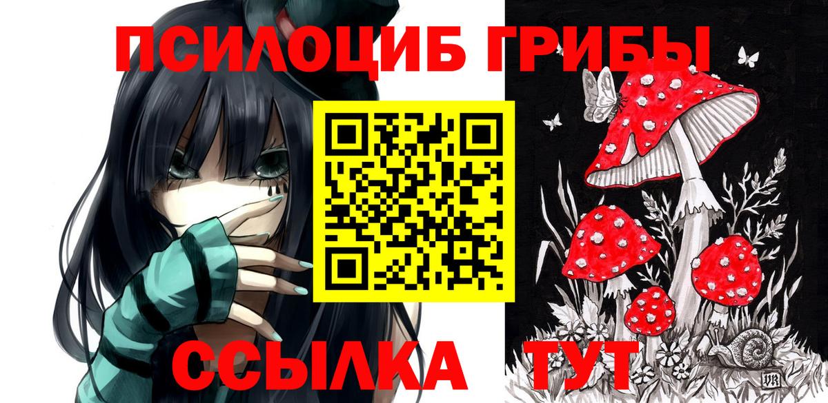 Дубна  Галлюциногенные грибы GOLDEN TEACHER  купить наркотики сайты  Вход с VPN 